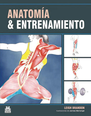 ANATOMIA Y ENTRENAMIENTO