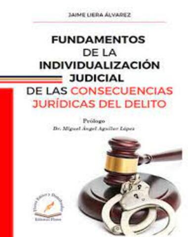 FUNDAMENTOS DE LA INDIVIDUALIZACION JUDI