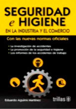 SEGURIDAD E HIGIENE EN LA INDUSTRIA Y EL