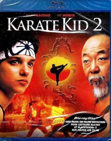 KARATE KID II