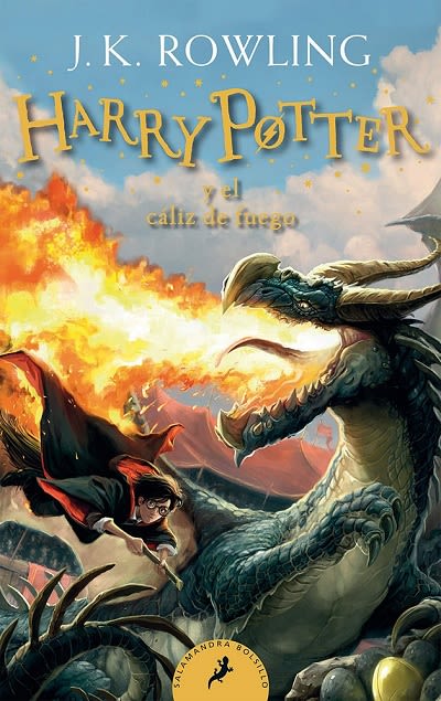 HARRY POTTER 4 Y EL CALIZ DE FUEGO