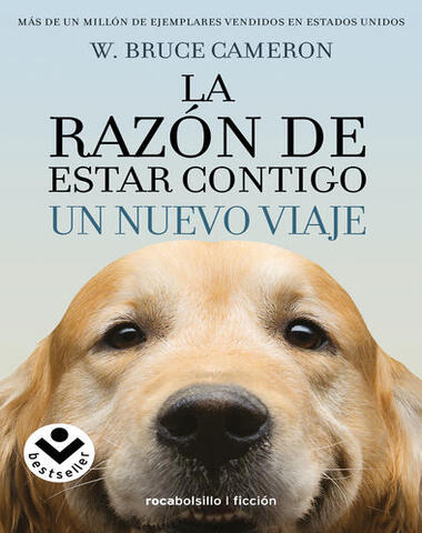 RAZON DE ESTAR CONTIGO UN NUEVO VIAJE