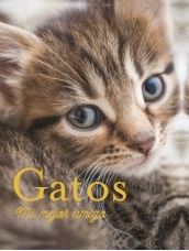 GATOS MI MEJOR AMIGO