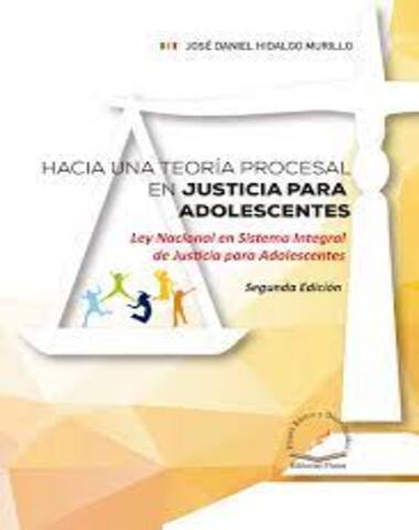 HACIA UNA TEORIA PROCESAL EN JUSTICIA PA