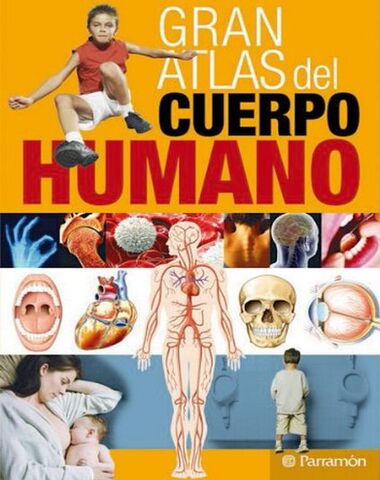 GRAN ATLAS DEL CUERPO HUMANO