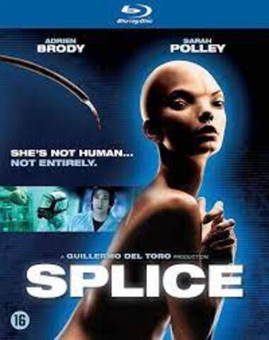 SPLICE BR