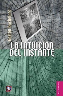 INTUICION DEL INSTANTE /BRV