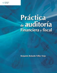 PRACTICA DE AUDITORIA FINANCIERA Y FISCA