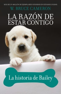 RAZON DE ESTAR CONTIGO HISTORIA DE BAILE