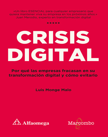 CRISIS DIGITAL