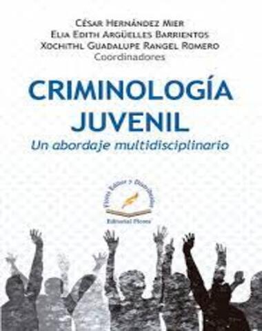 CRIMINOLOGIA JUVENIL UN ABORDAJE MULTIDI