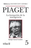 PIAGET LA FORMACION DE LA INTELIGENCIA