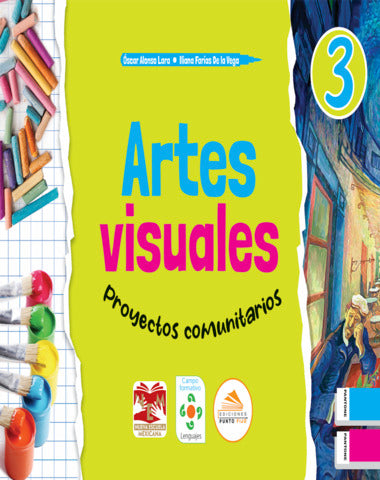 ARTES VISUALES 3 PROYECTOS COMUNITARIOS