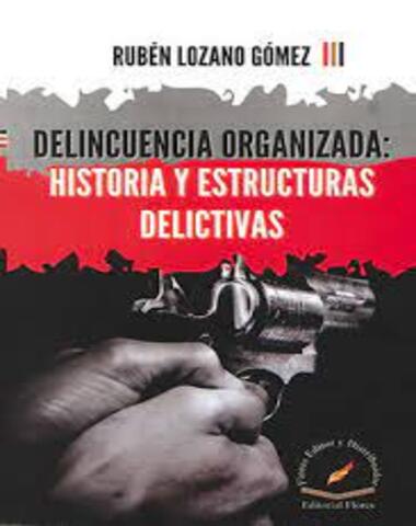 DELINCUENCIA ORGANIZADA HISTORIA  Y ESTR