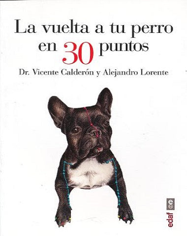 VUELTA A TU PERRO EN 30 PUNTOS, LA