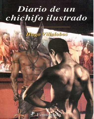 DIARIO DE UN CHICHIFO ILUSTRADO