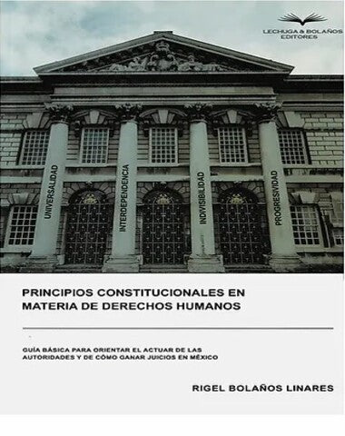 PRINCIPIOS CONSTITUCIONALES EN MATERIA D