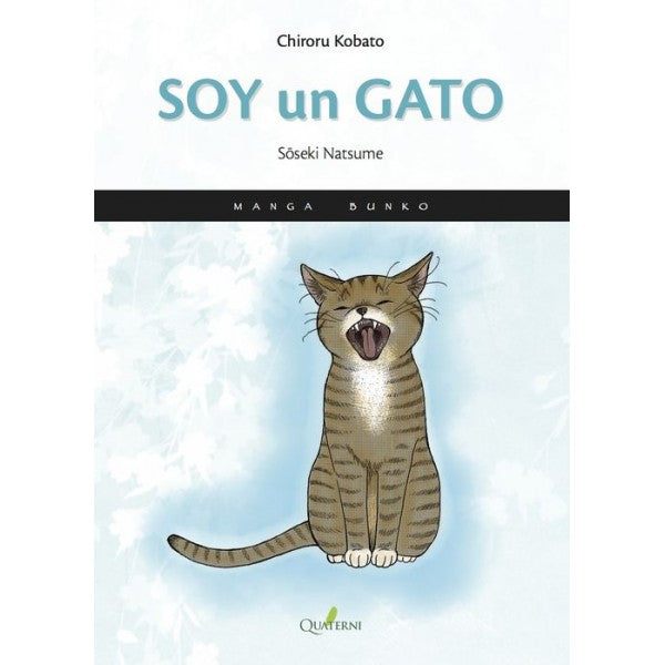 SOY UN GATO