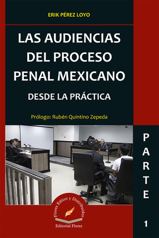 AUDIENCIAS DEL PROCESO PENAL MEXICANO 1