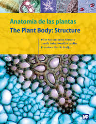 ANATOMIA DE LAS PLANTAS / THE PLANT BODY