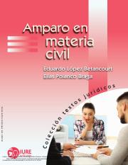 AMPARO EN MATERIA CIVIL