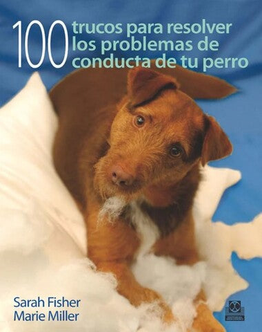 100 TRUCOS PARA RESOLVER LOS PROBLEMAS D