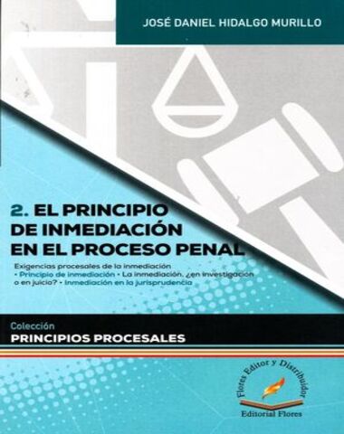 2 EL PRINCIPIO DE INMEDIACION EN EL PROC