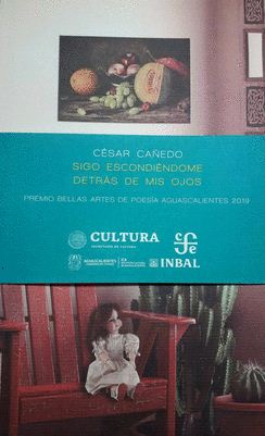 SIGO ESCONDIENDOME DETRAS DE MIS OJOS