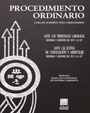 PROCEDIMIENTO ORDINARIO