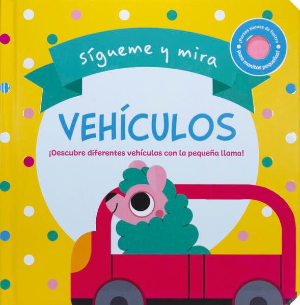 VEHICULOS SIGUEME Y MIRA