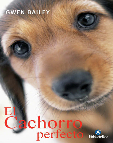 CACHORRO PERFECTO