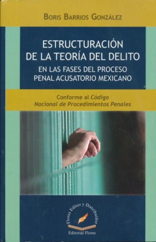 ESTRUCTURACION DE LA TEORIA DEL DELITO E