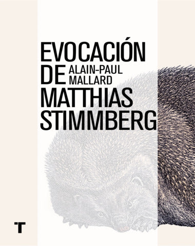 EVOCACION DE MATHIAS STIMMBERG