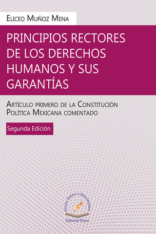 PRINCIPIOS RECTORES DE LOS DERECHOS HUMA