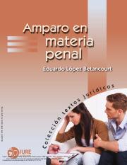 AMPARO EN MATERIA PENAL