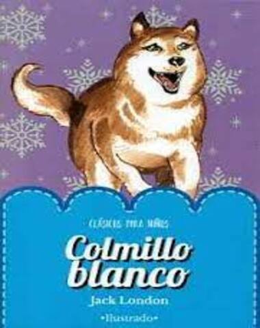 COLMILLO BLANCO