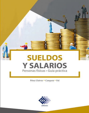 SUELDOS Y SALARIOS PERSONAS FISICAS GUIA