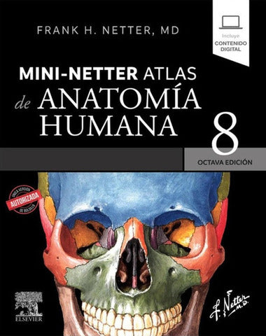 MINI NETTER ATLAS DE ANATOMIA HUMANA